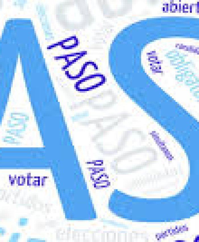 PASO: evalúan que el recuento definitivo terminará en 48 horas