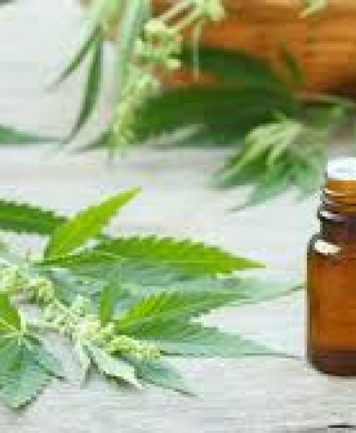 El hijo de Gerardo Morales se quedó con la primera habilitación para elaborar marihuana medicinal