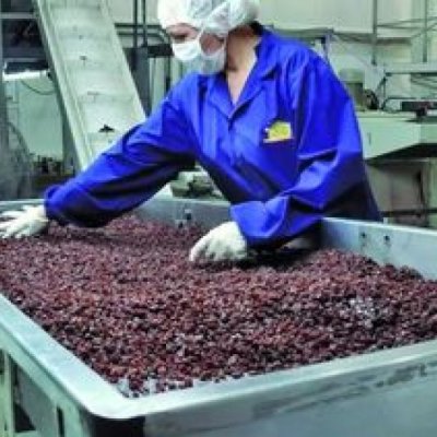 Las exportaciones vitícolas de San Juan crecieron un 20% en 2025