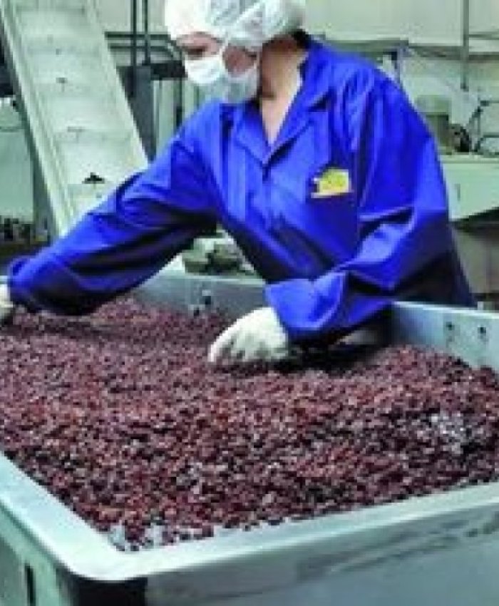 Las exportaciones vitícolas de San Juan crecieron un 20% en 2025