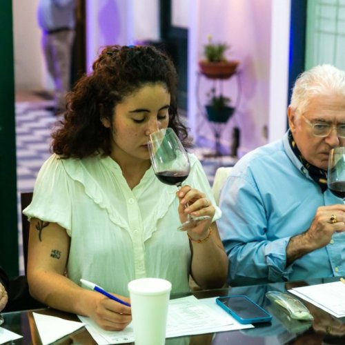 Más de 300 muestras compiten en el XXXVI Concurso Nacional de Vinos Cata San Juan 2024