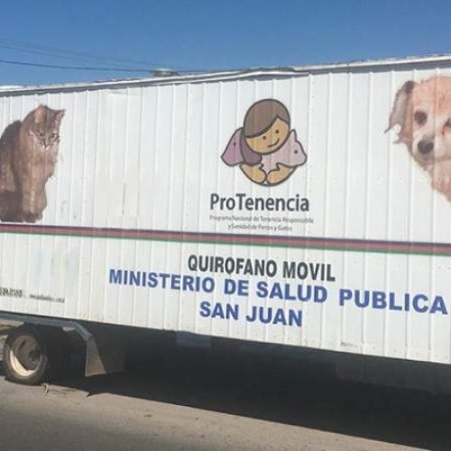 Conocé dónde estarán la próxima semana los quirófanos para estilizar mascotas
