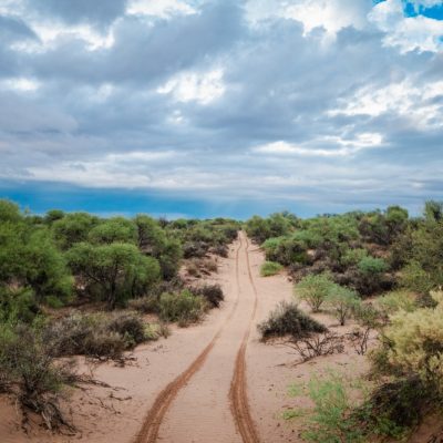 San Juan fortalece la conservación de sus bosques nativos como respuesta al cambio climático