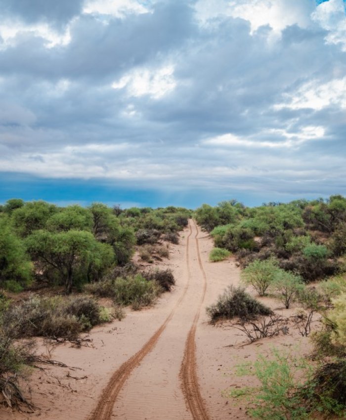 San Juan fortalece la conservación de sus bosques nativos como respuesta al cambio climático