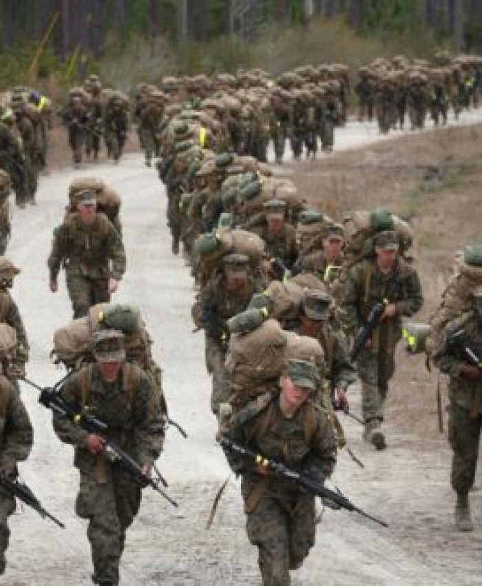 El Senado aprobó ejercicios militares con tropas extranjeras en la Patagonia y ya hay repudios