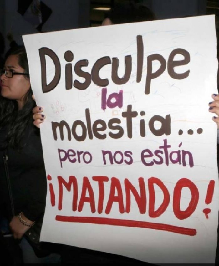 Caso de Myriam Morales: su femicida fue condenado a perpetua