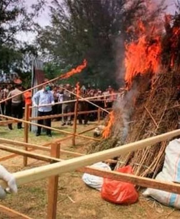Indonesia: la policía quemó 3 toneladas de marihuana y drogó a todo el pueblo
