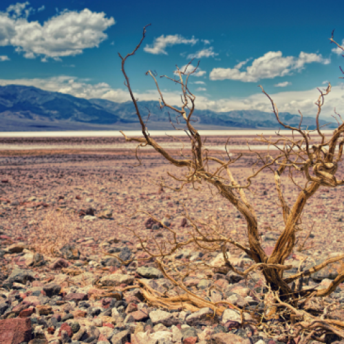 Chile, primer país latino en llegar al sobregiro ecológico por sexto año seguido