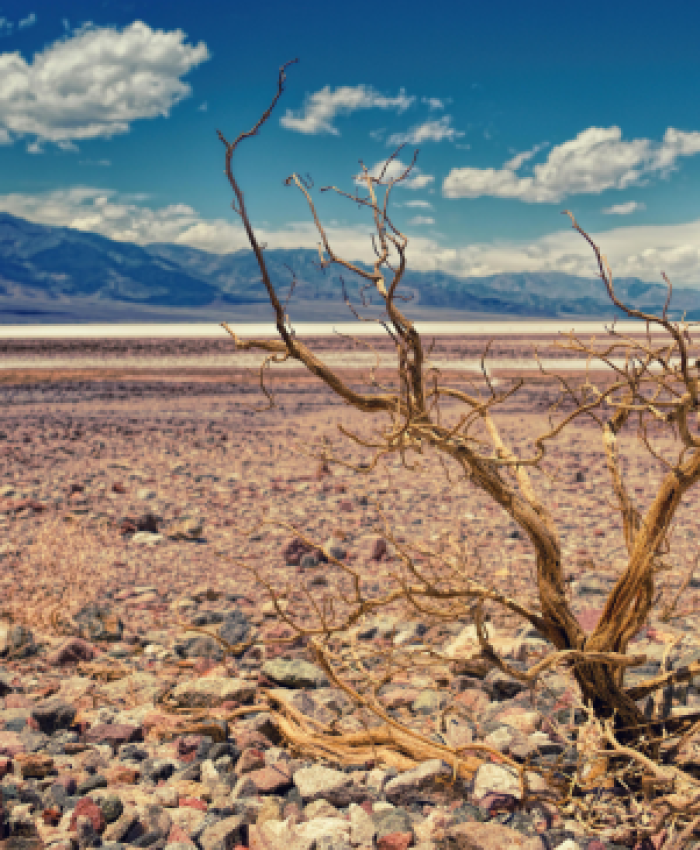 Chile, primer país latino en llegar al sobregiro ecológico por sexto año seguido