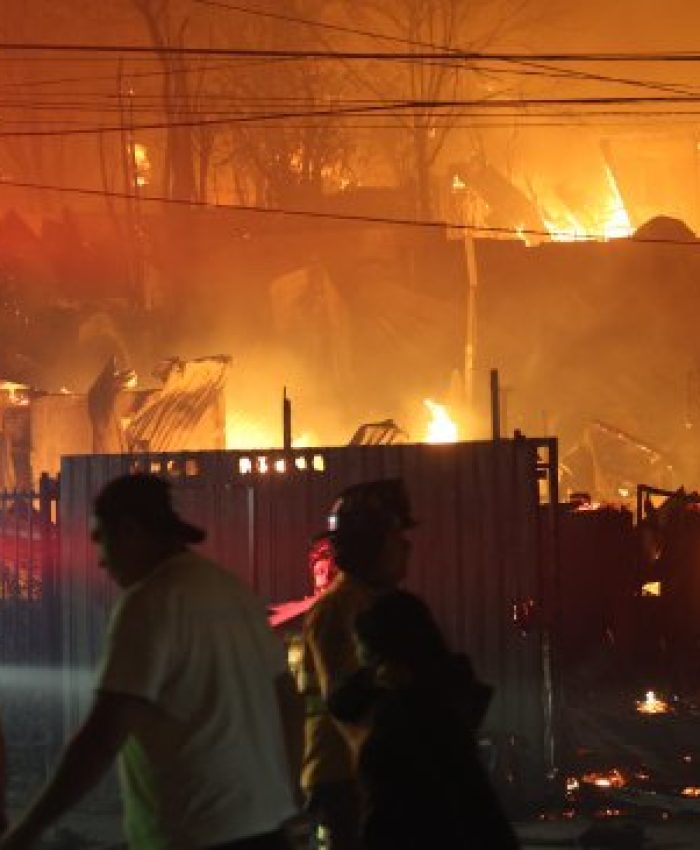 CHILE: el Gobierno informa que se registran 24 incendios forestales a nivel nacional