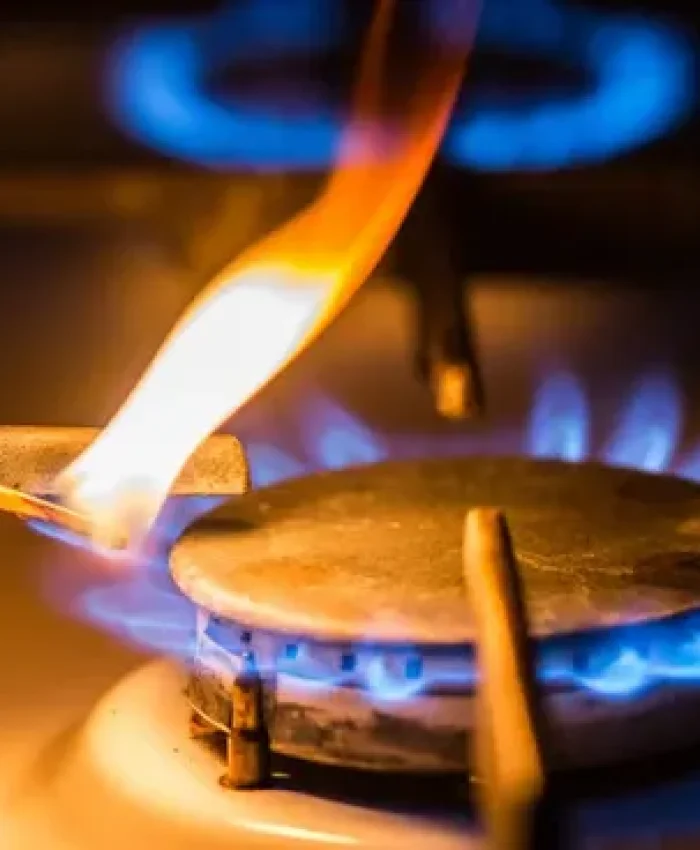 Milei presentó un proyecto para recortar los subsidios al gas, San Juan se quedaria sin regimen de zona fria