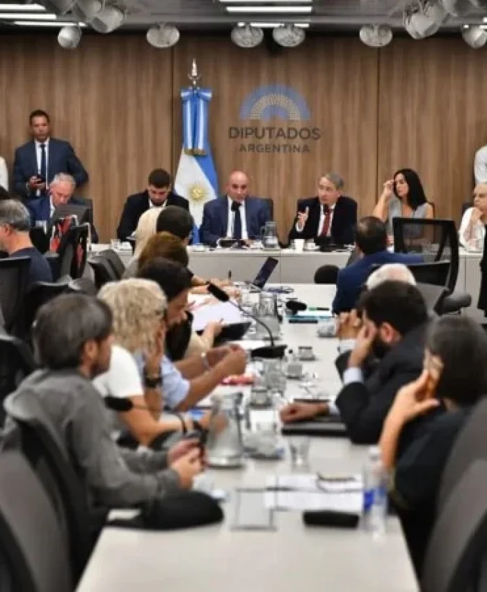 Comienzan las audiencias por la reforma de la Ley de Glaciares con una marcha frente al Congreso