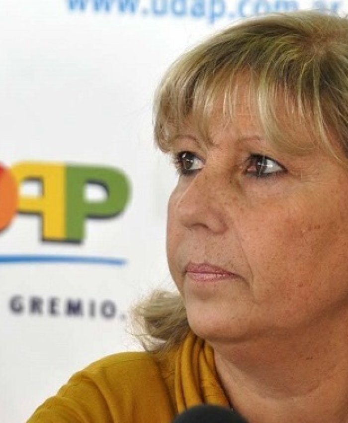 Paro docente: UDAP se suma a la medida de fuerza contra la reforma laboral