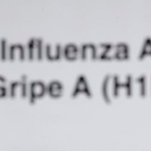 Desde Salud Pública confirmaron 43 casos de gripe A en la provincia