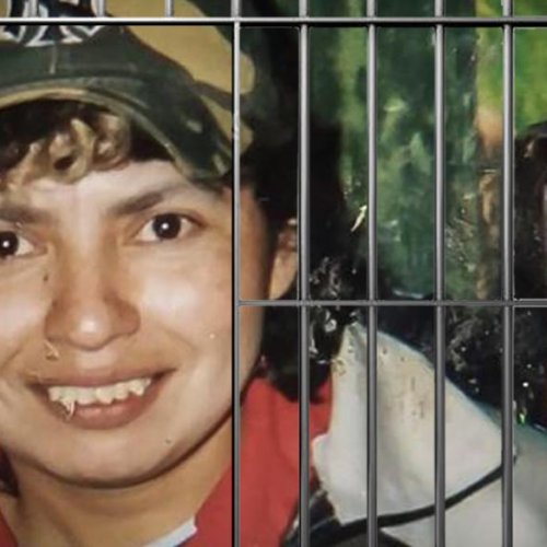 Higui saldrá en libertad condicional