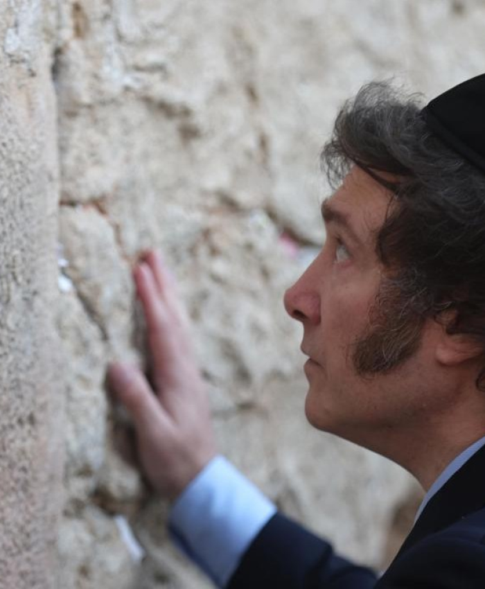 Milei, a la oposición: «Son un conjunto de delincuentes»