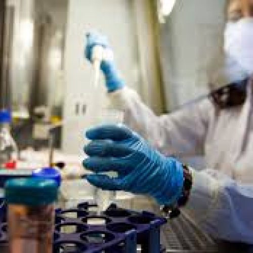 Prevención: se realizan hisopados a todos los trasnportistas que llegan a la provincia