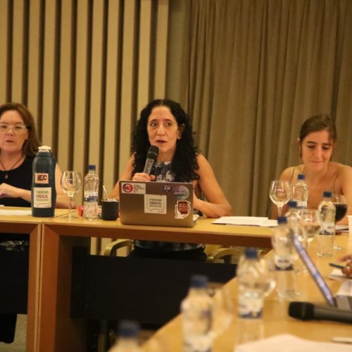 Organizaciones sindicales, políticas y feministas denuncian ante la ONU el desmantelamiento de políticas de género en Argentina