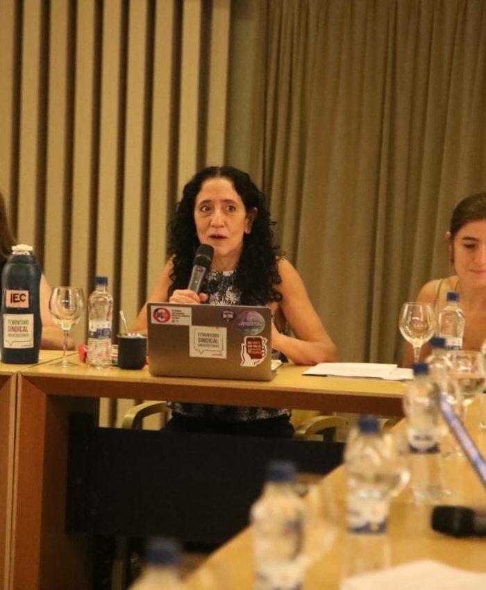 Organizaciones sindicales, políticas y feministas denuncian ante la ONU el desmantelamiento de políticas de género en Argentina