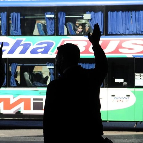 Transporte de larga distancia: ¿Qué pasa con los pasajes gratuitos para personas con discapacidad?
