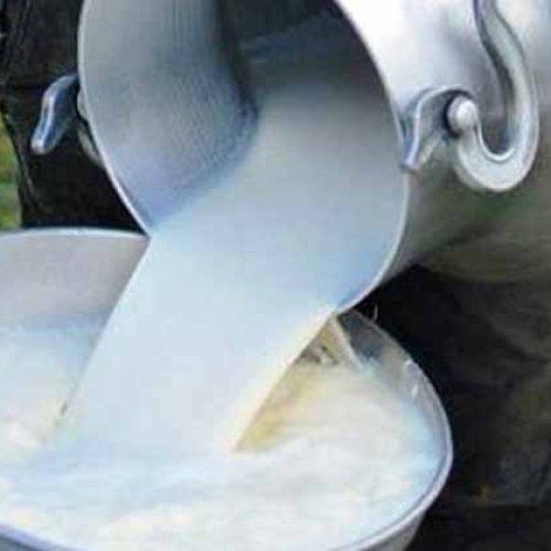 El consumo de leche cayó 4,5% en el primer semestre