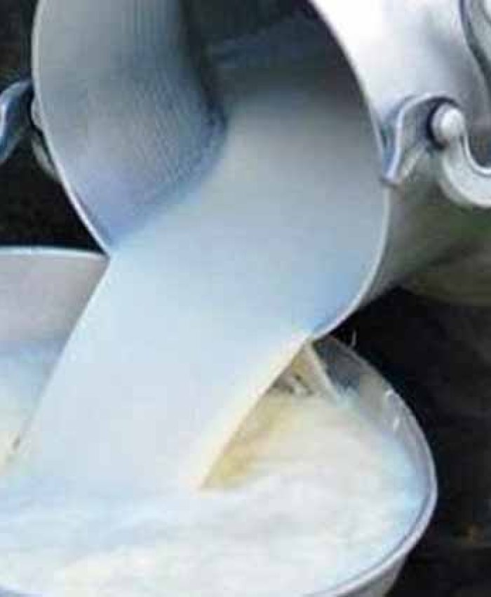 El consumo de leche cayó 4,5% en el primer semestre