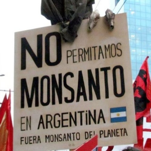 “La ley de semillas no es para protegerlas, es una ley de privatización”