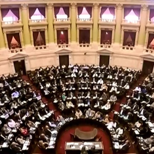 Hoy Diputados sesionan para frenar el decreto de reforma de las FFAA 