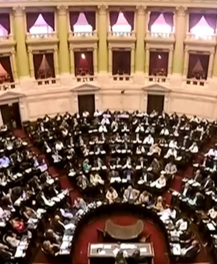 Hoy Diputados sesionan para frenar el decreto de reforma de las FFAA 