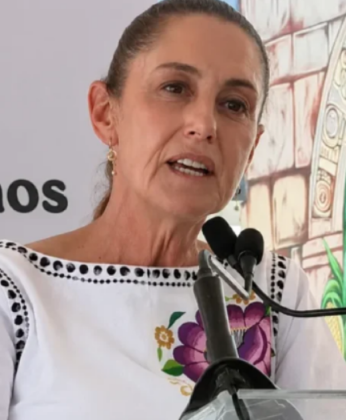 MEXICO: el Gobierno presenta 20 denuncias ante fiscalías de EEUU por la muerte de 17 personas durante operativos del ICE