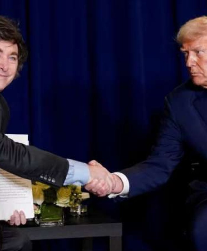 Javier Milei ratificó su plan económico: «Nos van a salir dólares por las orejas»