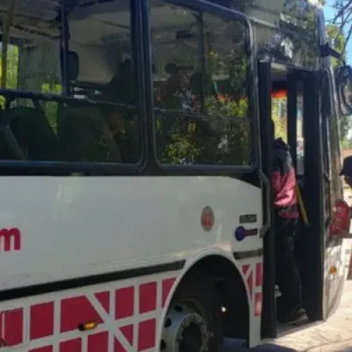 La Unión Tranviarios Automotor anunció un nuevo paro de colectivos