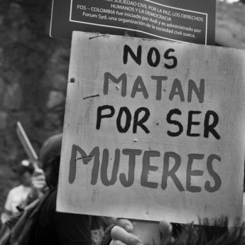 El Gobierno aprobó la creación del Registro de Violadores