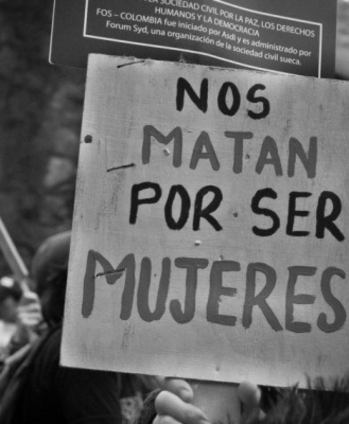 El Gobierno aprobó la creación del Registro de Violadores