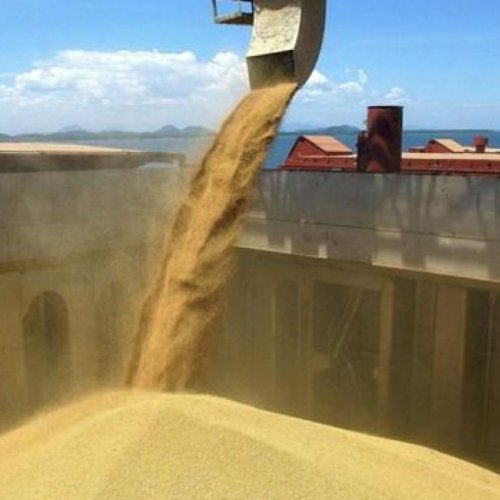 Eliminan obligación de liquidar divisas de exportaciones