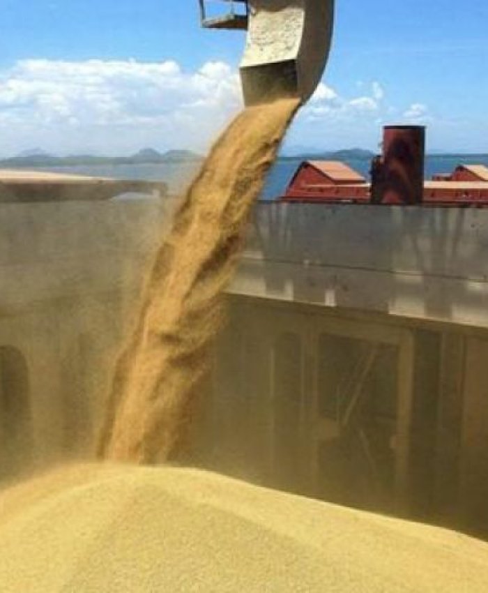 Eliminan obligación de liquidar divisas de exportaciones