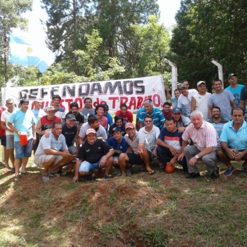 Misiones: la política nacional golpea a la industria maderera y peligran puestos de trabajo