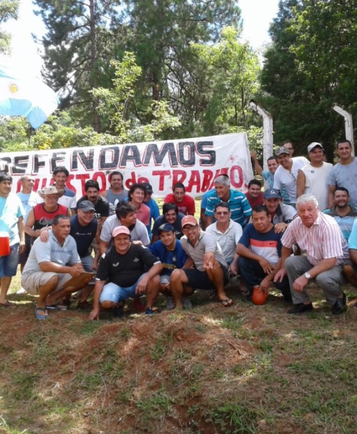 Misiones: la política nacional golpea a la industria maderera y peligran puestos de trabajo