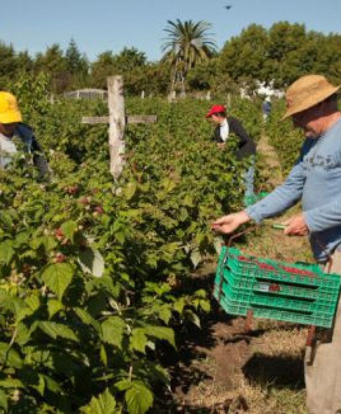 El Gobierno dejó sin ayuda a miles de pequeños productores rurales