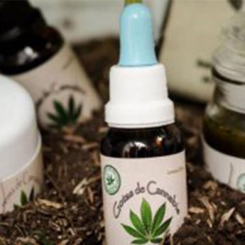 Cannabis medicinal: Especialistas coordinan como se aplicará en la provincia