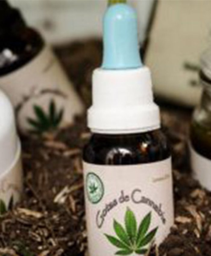 Cannabis medicinal: Especialistas coordinan como se aplicará en la provincia