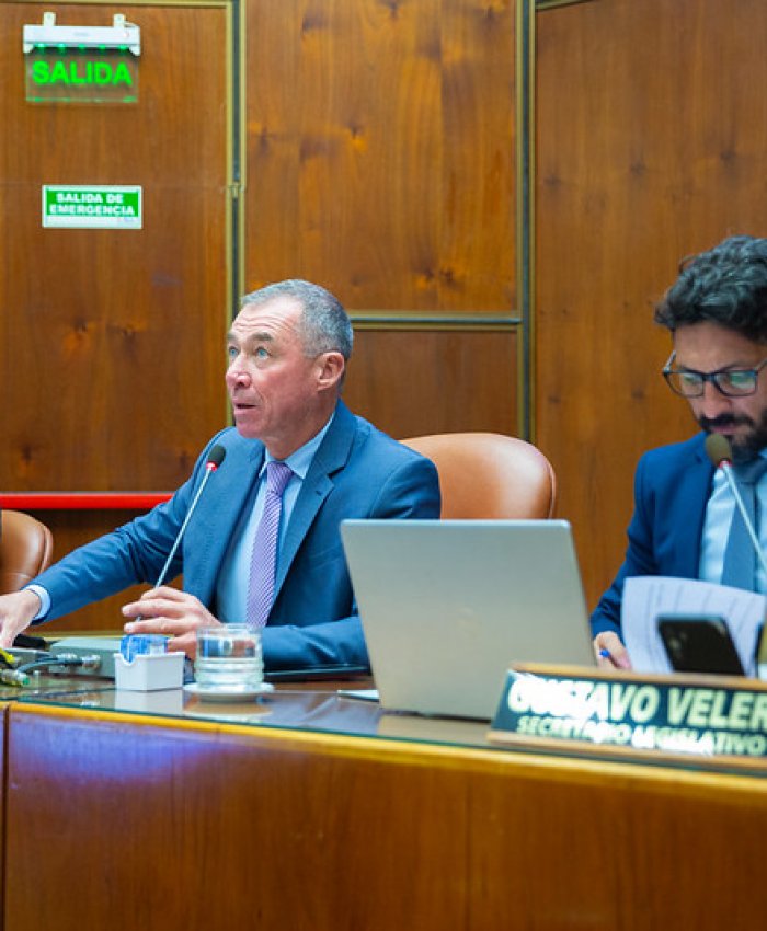 Cámara de Diputados de San Juan: sesión preparatoria, será este jueves 26 de marzo