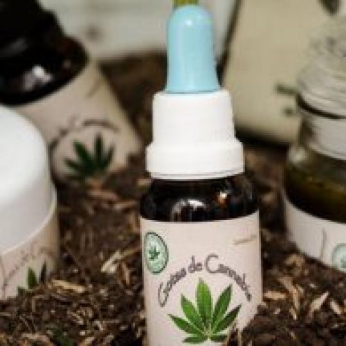 Usuarios de cannabis medicinal reclaman la reglamentación de la ley y que se incluya el autocultivo