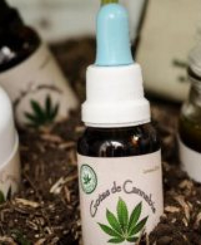 Usuarios de cannabis medicinal reclaman la reglamentación de la ley y que se incluya el autocultivo