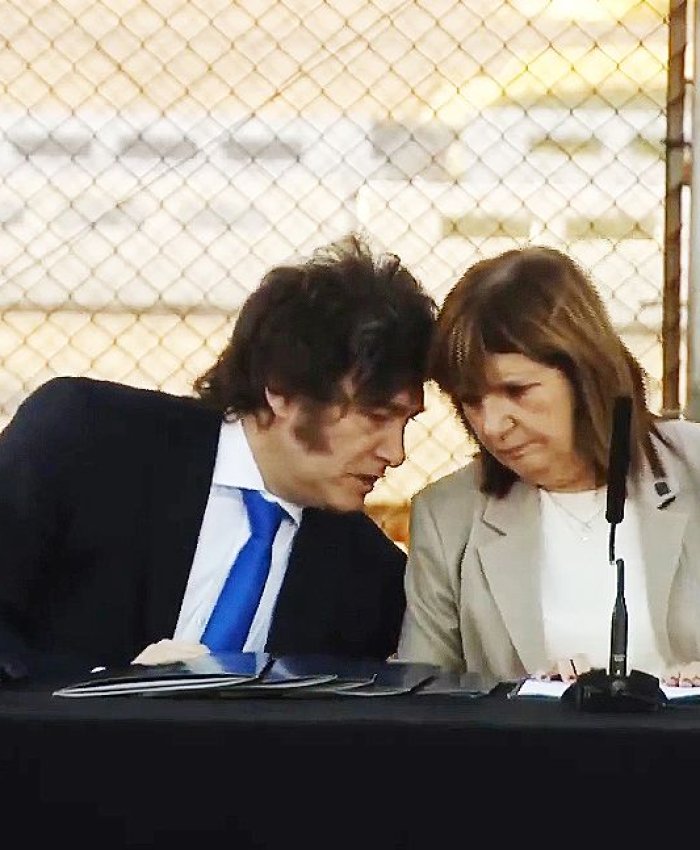 ¡AFUERA!: en el Senado por disidencias con los aliados, el oficialismo debió postergar el debate de la reforma laboral para febrero