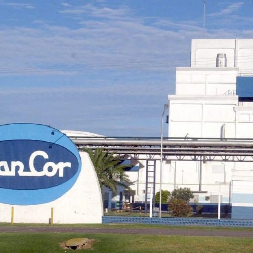 Una multinacional quiere comprar SanCor