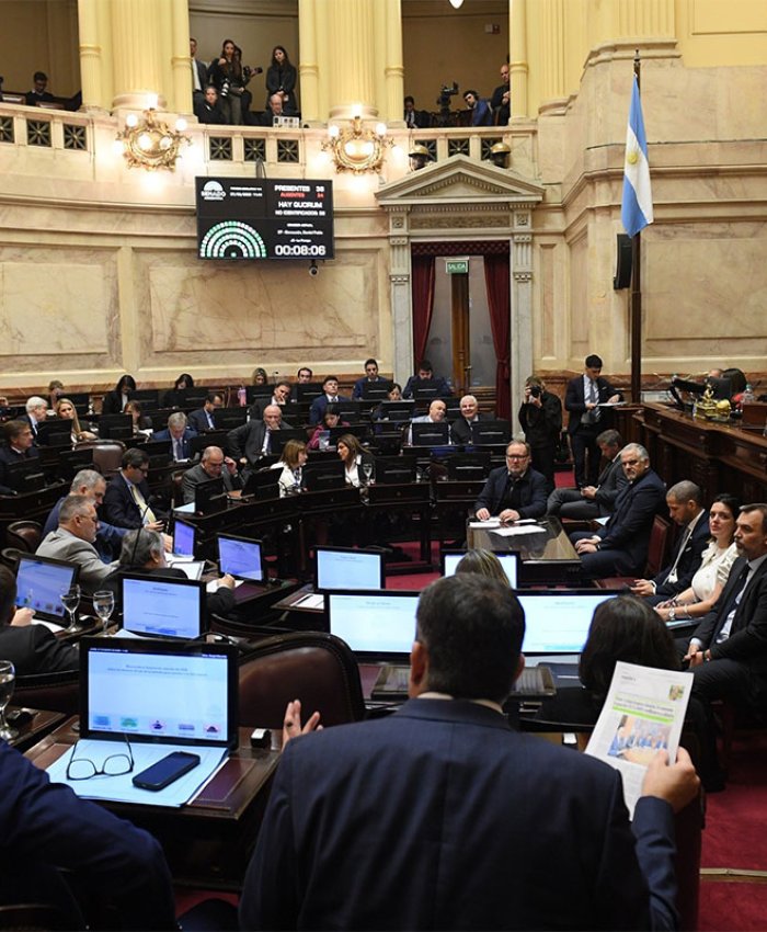 El Senado aprobó la nueva Ley de inocencia fiscal con la que Caputo espera absorber los “dólares del colchón”