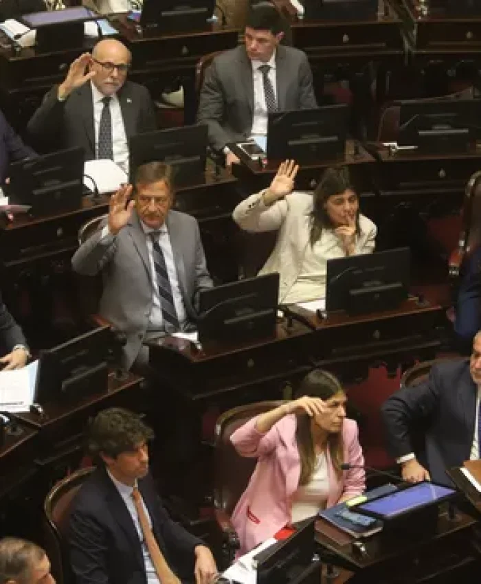 Senadores radicales impulsaron la revisión del DNU de fondos reservados para la SIDE. Mariano Fuchila