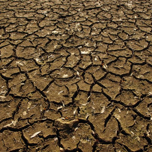 SEQUÍA EN SAN JUAN: durante 131 días consecutivos no se destinará agua para riego