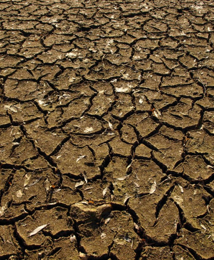 SEQUÍA EN SAN JUAN: durante 131 días consecutivos no se destinará agua para riego